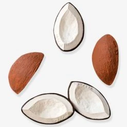 Jouet De Dentition Coco La Noix De Coco - OLI & CAROL Marron - Oli Et Carol